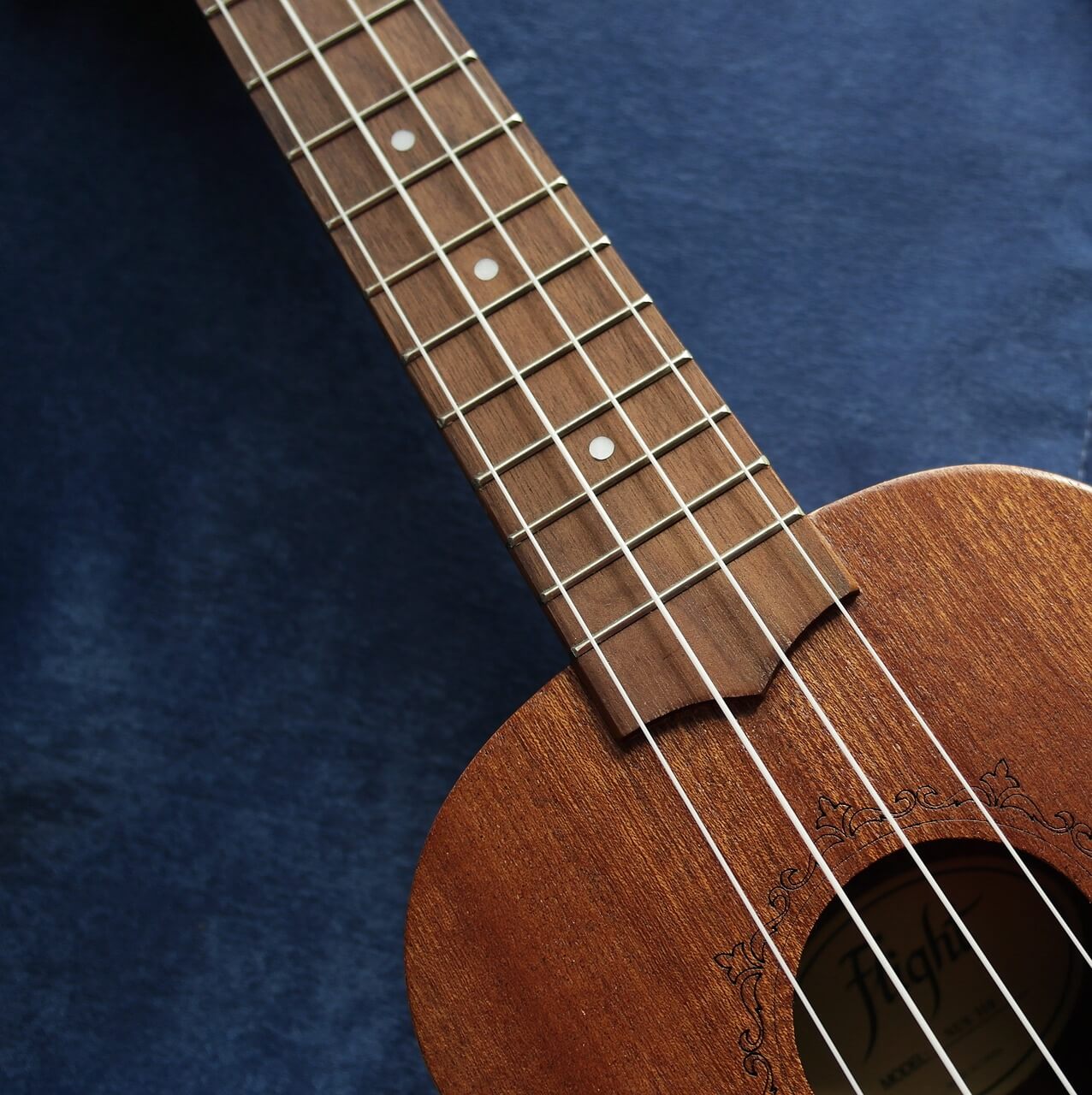 Ukulele Grundlagen